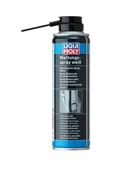 LIQUI MOLY Kilit Bakım Spreyi 250 ml
