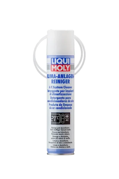 LIQUI MOLY Klima Sistem Temizleyici Sprey 250 ml
