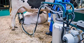 SPEEDOL SPD Milking VP